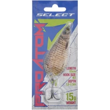 hover image