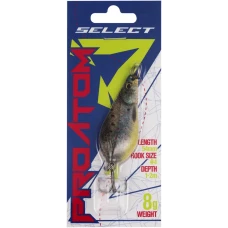 hover image