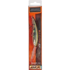hover image