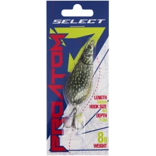 hover image